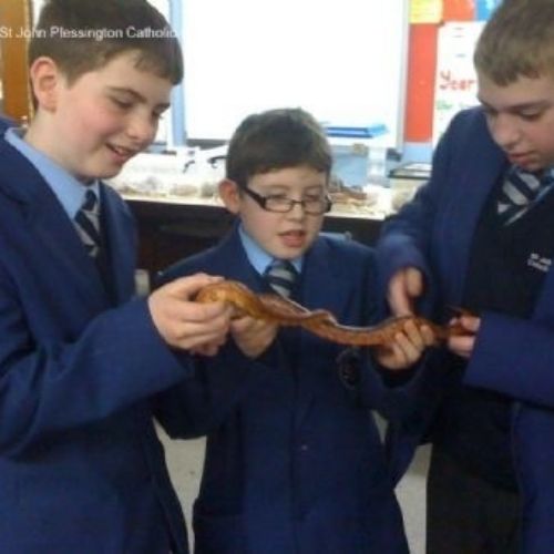 Wirral Herpetological Society.jpg